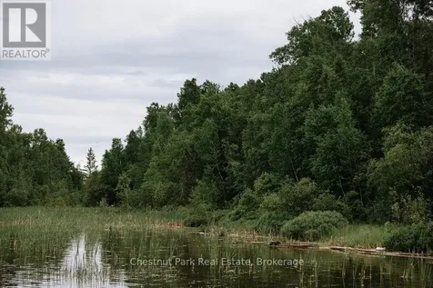 447 Fox Run Temagami ON P0H 2H0