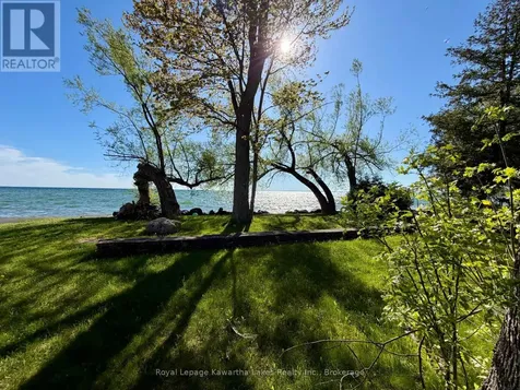 2636+ Lakeshore Drive Ramara ON L0K 1B0