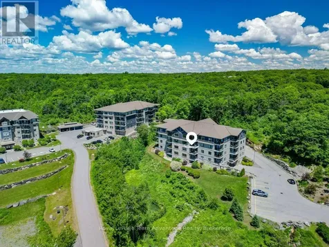 11C Salt Dock Road Parry Sound ON P2A 2W9