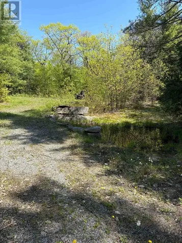 175 North Sandy Plains Road Seguin ON P2A 2W8