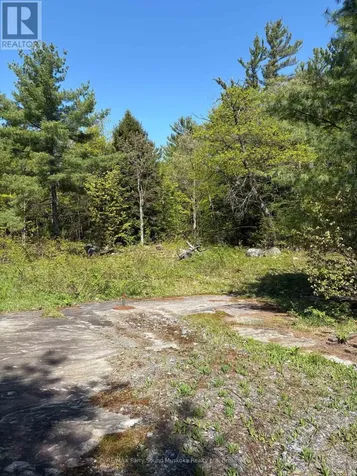175 North Sandy Plains Road Seguin ON P2A 2W8
