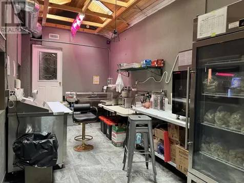 172 Ossington Avenue Toronto (trinity-bellwoods) ON M6J 2Z7