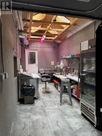 172 Ossington Avenue Toronto (trinity-bellwoods) ON M6J 2Z7