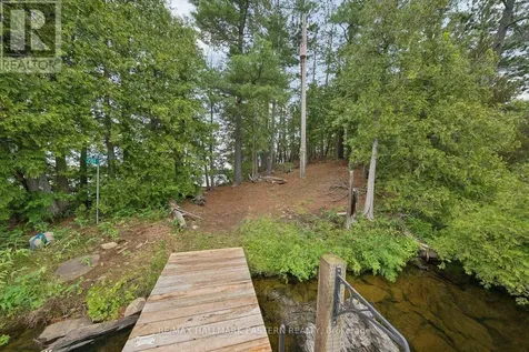 281 String Island South Havelock-belmont-methuen ON K0L 1Z0