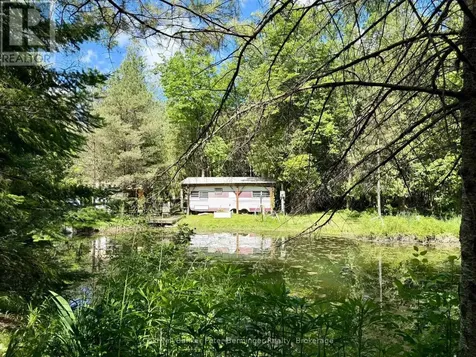 157 Anderson Drive West Grey ON N0G 1S0