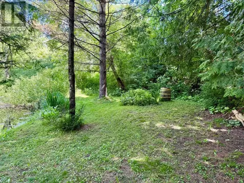 157 Anderson Drive West Grey ON N0G 1S0