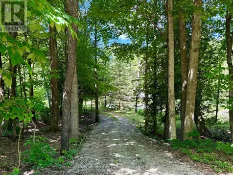 157 Anderson Drive West Grey ON N0G 1S0