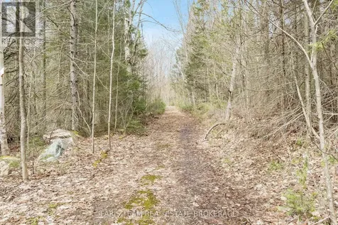 376 Riding Ranch Road South River ON P0A 1X0
