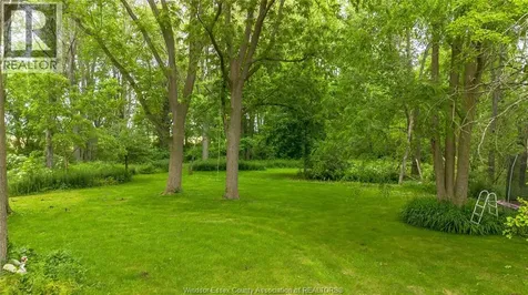 19781 Dillion Road Chatham ON N0P 1A0