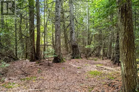 64 Larsen Cove Road North Northern Bruce Peninsula ON N0H 1Z0