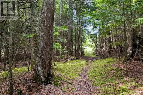 64 Larsen Cove Road North Northern Bruce Peninsula ON N0H 1Z0