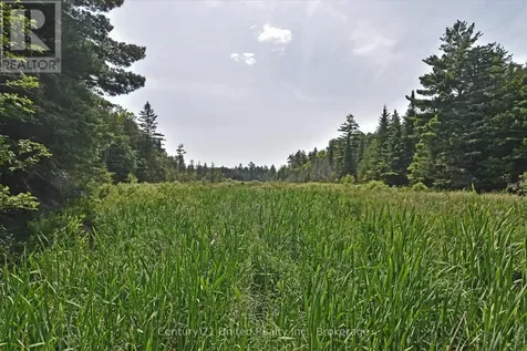 707 S Dummer 8th Line Road Douro-dummer ON K0L 2V0
