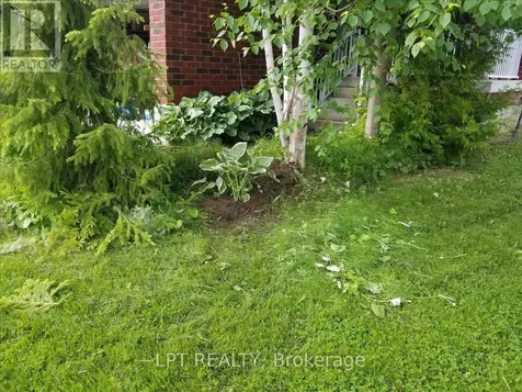 62 Williams Street Collingwood ON L9Y 0C4
