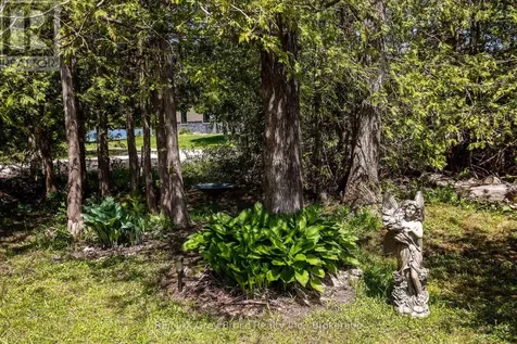 181 Woodland Circle Chatsworth ON N0H 1G0