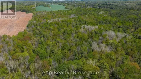 5716 County Road 9 Clearview ON L0M 1N0