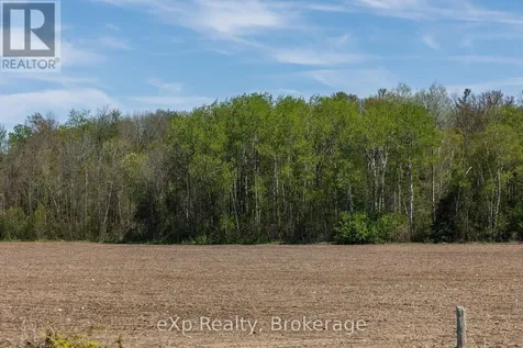 5716 County Road 9 Clearview ON L0M 1N0