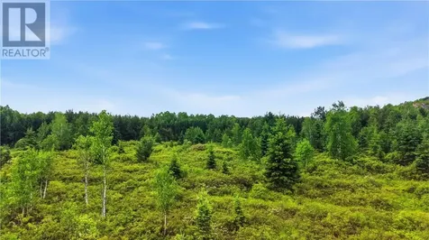 0 Forestview Court Wahnapitae ON P0M 3C0
