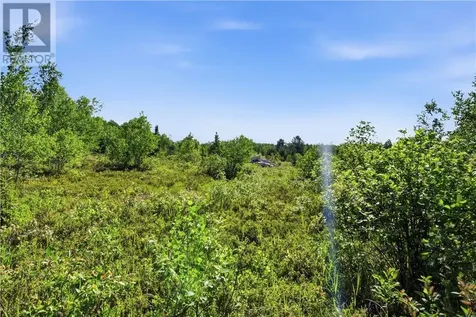 0 Forestview Court Wahnapitae ON P0M 3C0