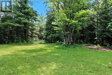 7363 Sideroad 33 34 Road Clearview ON L0M 1S0