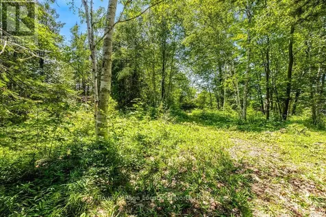 88 Smallman Drive Wasaga Beach ON L9Z 1L1