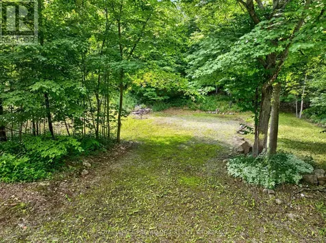 Pt Lt 18 Clear Lake Road Rideau Lakes ON K0G 1E0