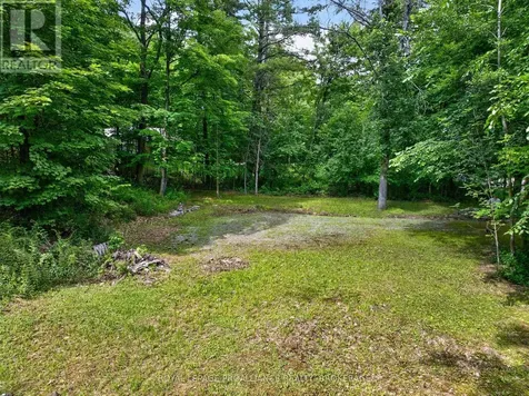 Pt Lt 18 Clear Lake Road Rideau Lakes ON K0G 1E0