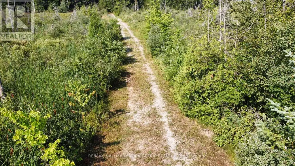 Pt Lot 80 Grey Road Grey Highlands ON N0C 1M0