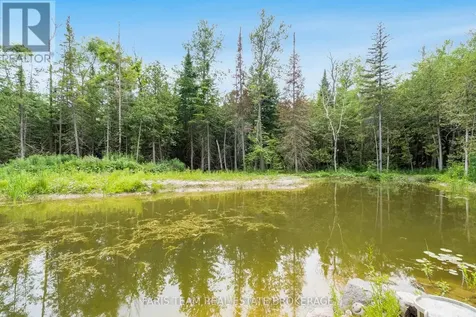 636 Harbour Street Innisfil ON L0L 1K0