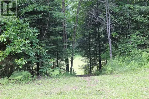 3994 County Road 620 North Kawartha ON K0L 1A0