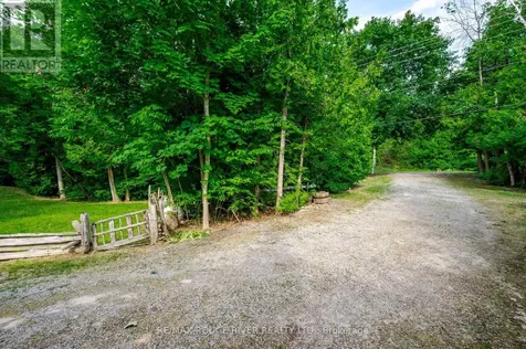 1280 Birchview Road Douro-dummer ON K0L 2H0