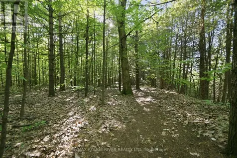 9866 Ellis Road Hamilton Township ON K0K 1C0