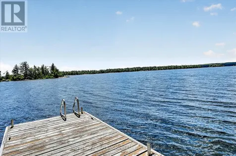 61 Napier Crescent North Kawartha ON K0L 2H0