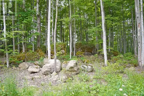 382488 17 Concession Road Georgian Bluffs ON N0H 2T0