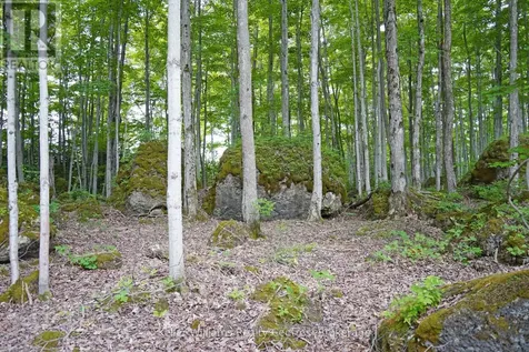 382488 17 Concession Road Georgian Bluffs ON N0H 2T0