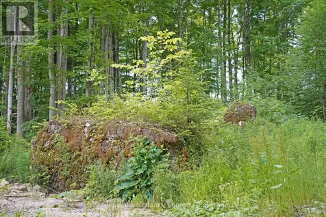 382488 17 Concession Road Georgian Bluffs ON N0H 2T0