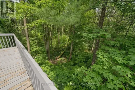 80 White Pine Trail Richmond Hill ON L4E 3L8