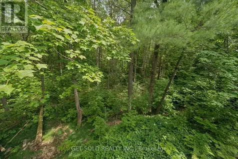 80 White Pine Trail Richmond Hill ON L4E 3L8