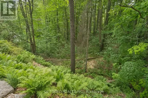 80 White Pine Trail Richmond Hill ON L4E 3L8