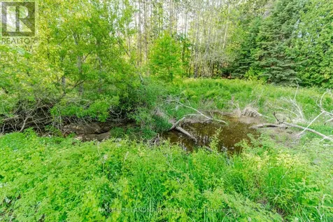 4754 County Road 90 Springwater ON L9X 0R8