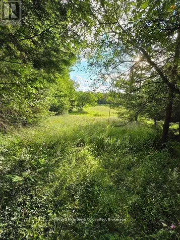 581650 9a Sideroad Chatsworth ON N0H 1K0