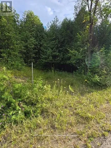 581650 9a Sideroad Chatsworth ON N0H 1K0
