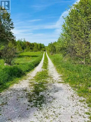 1173 Concession Rd. Drive Ramara ON L0K 1W0
