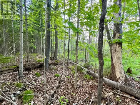 Pt Lt 9 Foymount Road Bonnechere Valley ON K0J 1M0