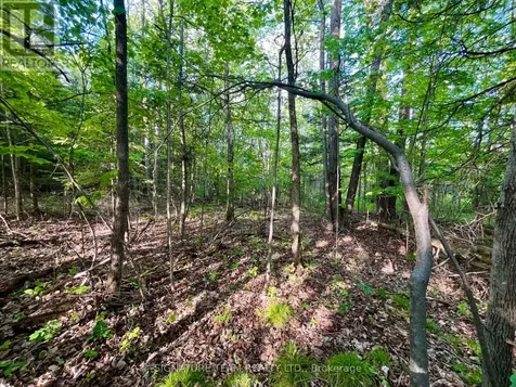 Pt Lt 9 Foymount Road Bonnechere Valley ON K0J 1M0