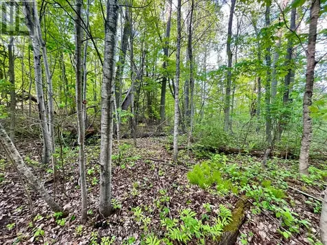 Pt Lt 9 Foymount Road Bonnechere Valley ON K0J 1M0