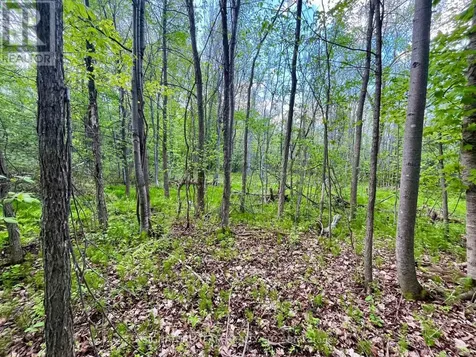 Pt Lt 9 Foymount Road Bonnechere Valley ON K0J 1M0