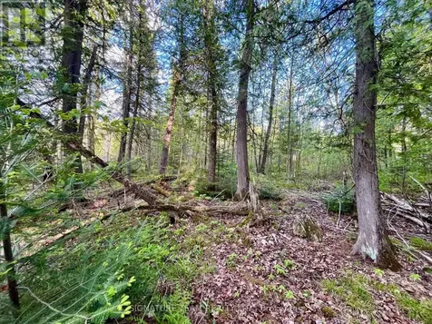 Pt Lt 9 Foymount Road Bonnechere Valley ON K0J 1M0