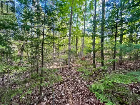 Pt Lt 9 Foymount Road Bonnechere Valley ON K0J 1M0