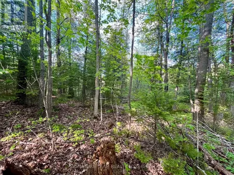 Pt Lt 9 Foymount Road Bonnechere Valley ON K0J 1M0