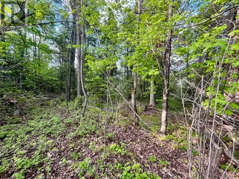 Pt Lt 9 Foymount Road Bonnechere Valley ON K0J 1M0